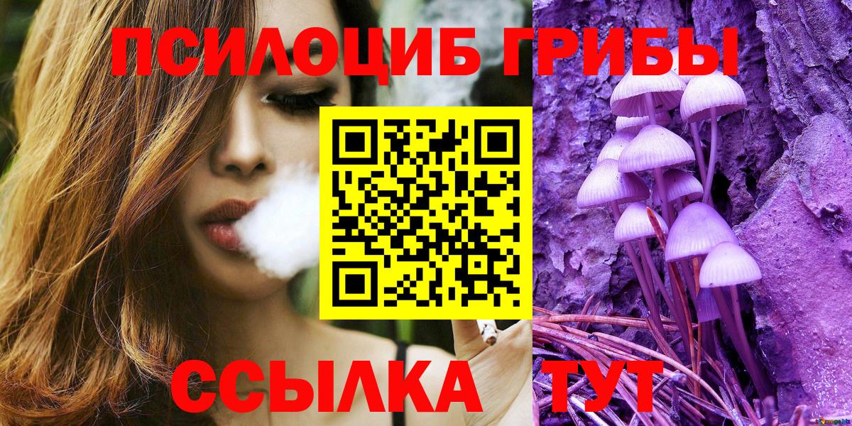 Псилоцибиновые грибы GOLDEN TEACHER Советская Гавань